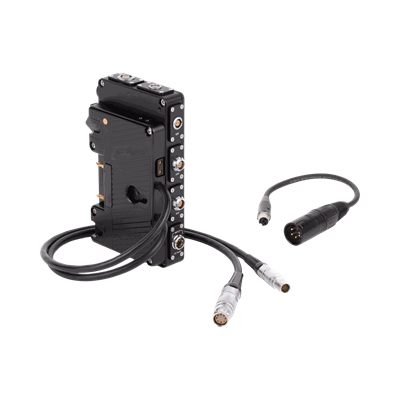 Wooden Camera D-Box for ARRI ALEXA Mini/Mini LF (Gold Mount)