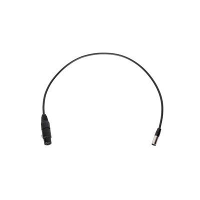 Wooden Camera Mini 3pin XLR Male to Full 3pin XLR Female (20")