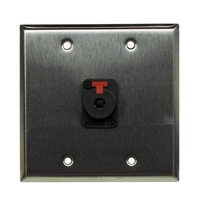 Whirlwind WP2/1QW Wall Plate, One 1/4 in. Jack