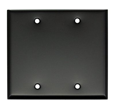 Whirlwind WP2B/0H Wall Plate, Blank