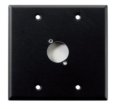 Whirlwind WP2B/1H Wall Plate, Punched for One Whirlwind XLR