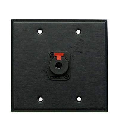 Whirlwind WP2B/1QW Wall Plate, One 1/4 in. Jack