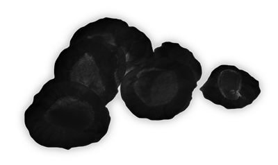Williams AV Sanitary Headphone Covers (Black)