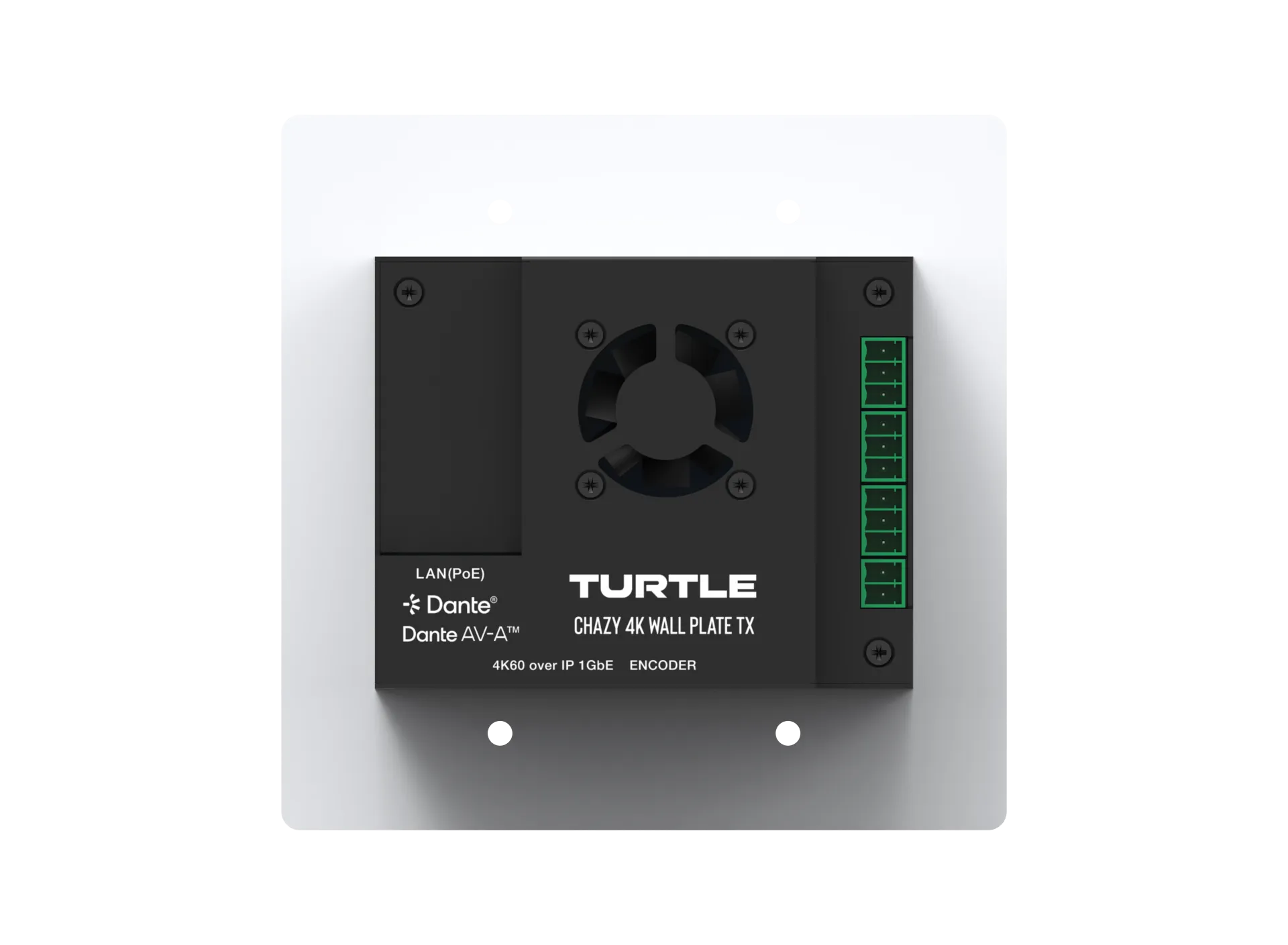 TurtleAV Chazy 4K Wall Plate TX Dante AV-A Video Encoder, US - view 3