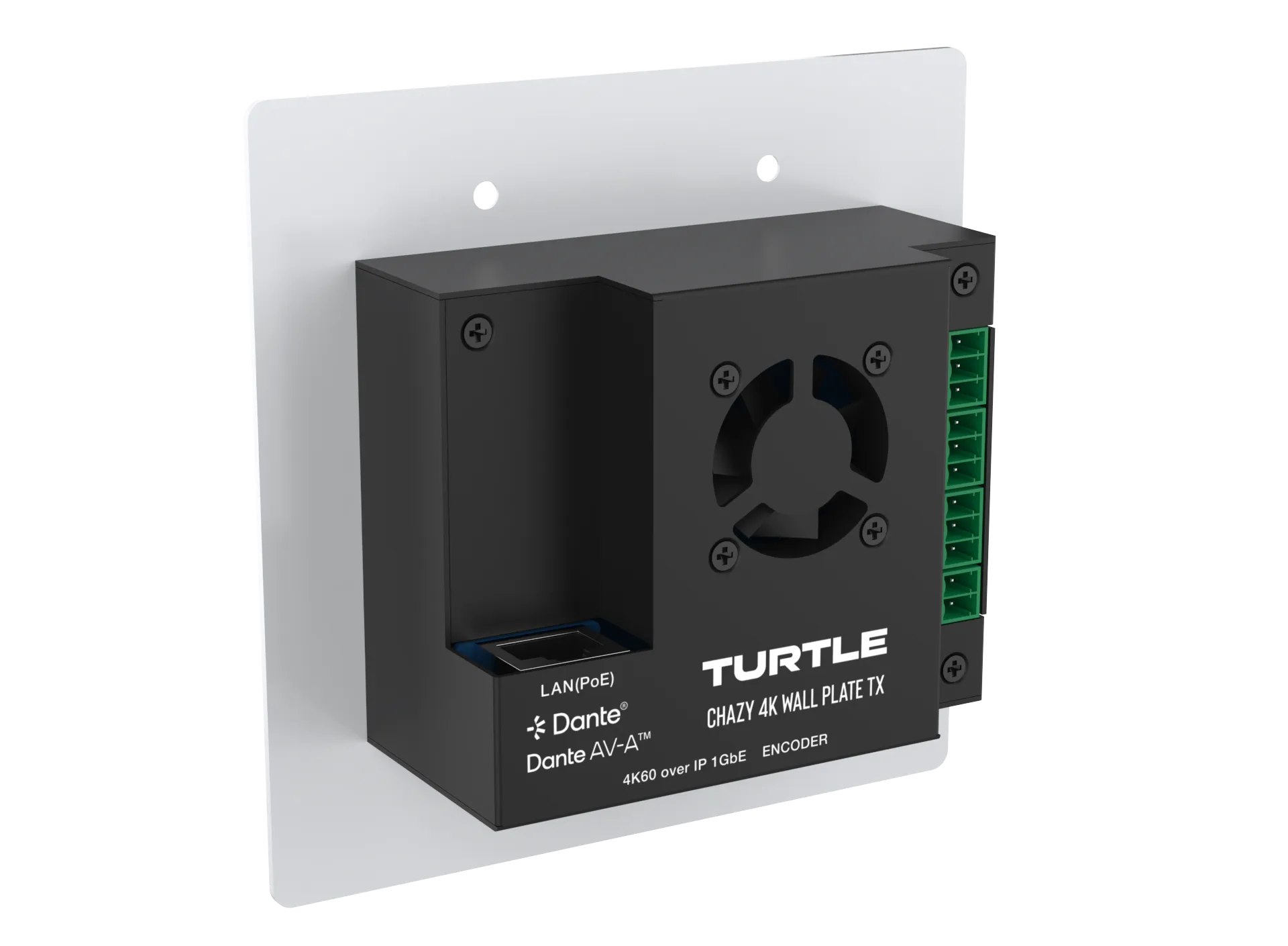 TurtleAV Chazy 4K Wall Plate TX Dante AV-A Video Encoder, US - view 4