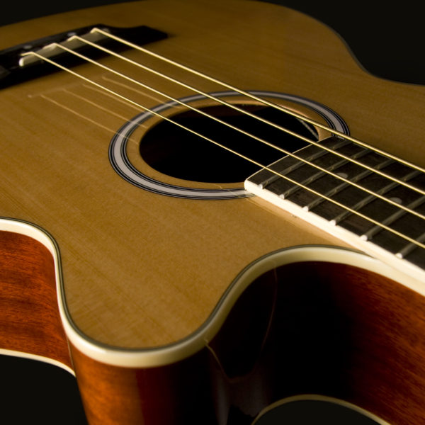Washburn AB5 Acoustic Bass Guitar - view 2