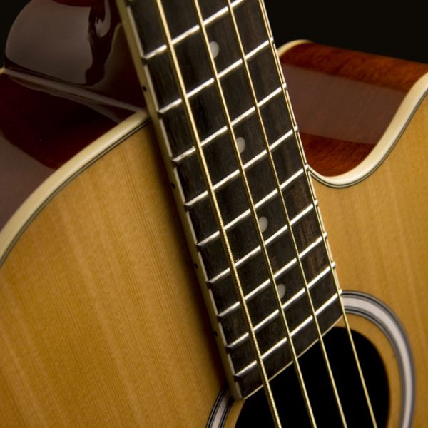 Washburn AB5 Acoustic Bass Guitar - view 3
