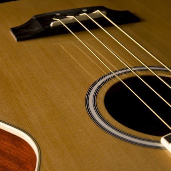 Washburn AB5 Acoustic Bass Guitar - view 4