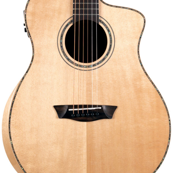 Washburn Allure SC56S Acoustic Guitar - view 3