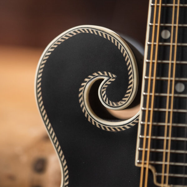 Washburn M3SE Mandolin - view 2