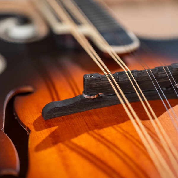 Washburn M3SE Mandolin - view 3