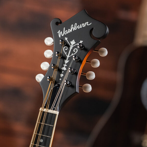 Washburn M3SE Mandolin - view 4
