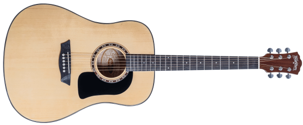 Washburn D5 Acoustic Guitar