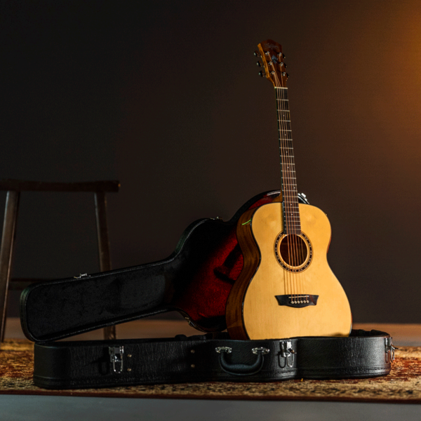 Washburn F5 Acoustic Guitar - view 3