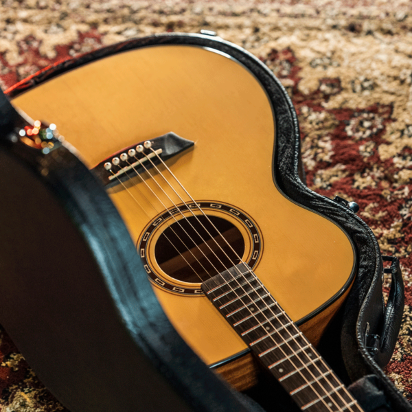 Washburn F5 Acoustic Guitar - view 4