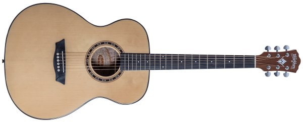 Washburn F5 Acoustic Guitar