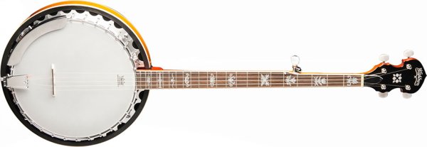 Washburn B10 Banjo