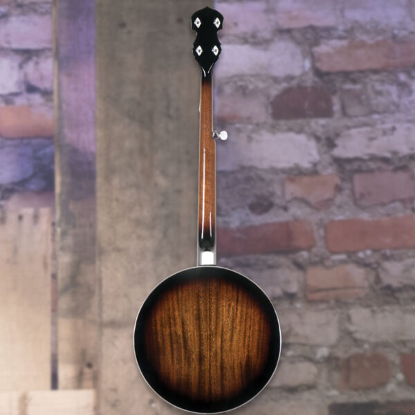 Washburn B11 Banjo - view 2