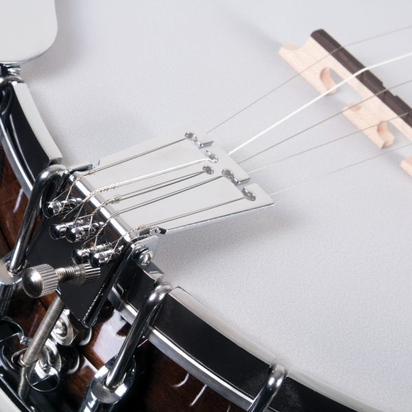 Washburn B11 Banjo - view 3