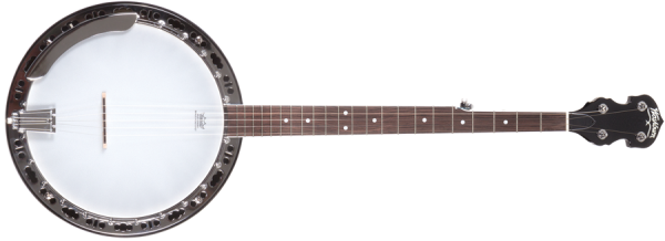 Washburn B11 Banjo