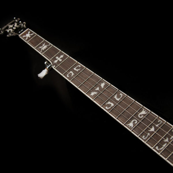 Washburn B16 Banjo - view 2