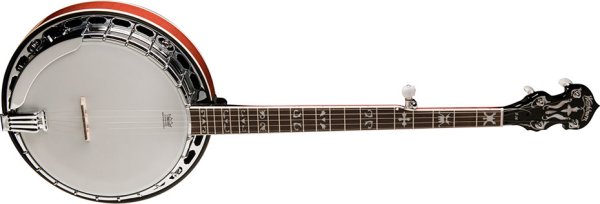 Washburn B16 Banjo