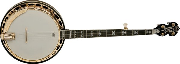Washburn B17 Banjo