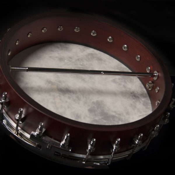 Washburn B6 Banjo - view 3