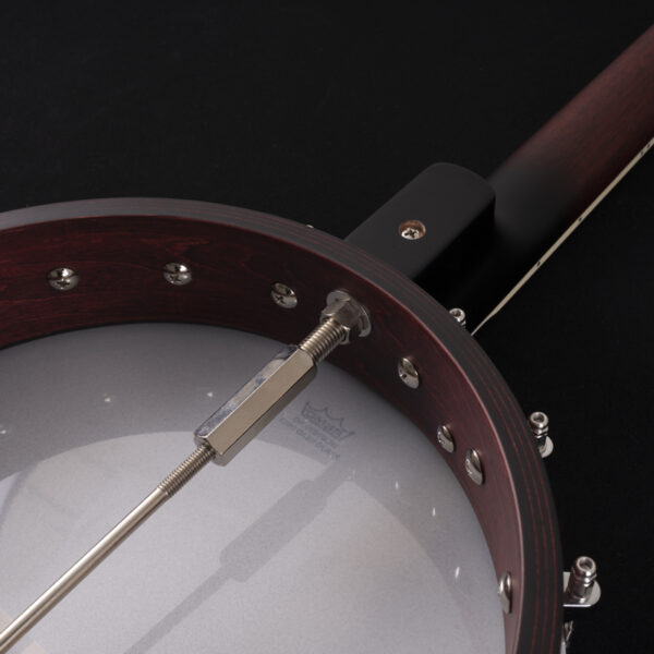 Washburn B7 Banjo - view 2