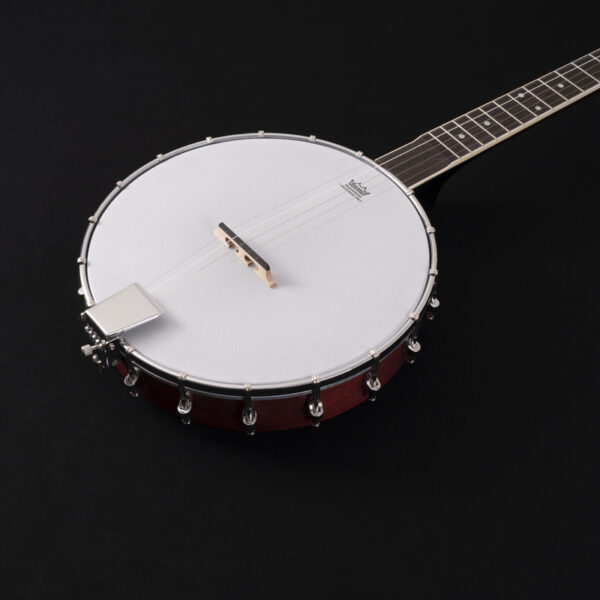 Washburn B7 Banjo - view 3