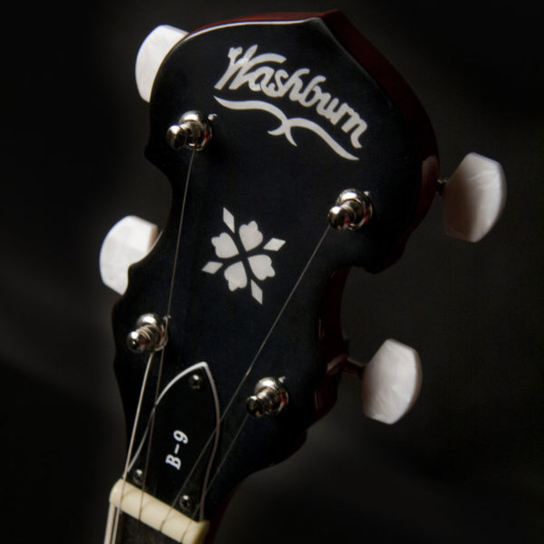 Washburn B9 Banjo - view 3