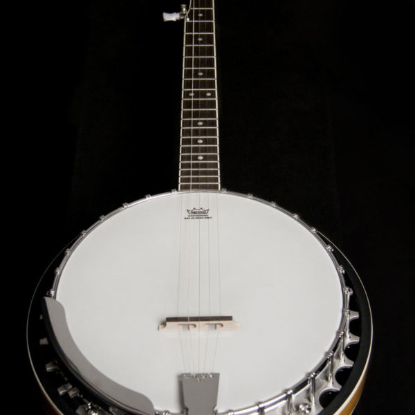 Washburn B9 Banjo - view 4