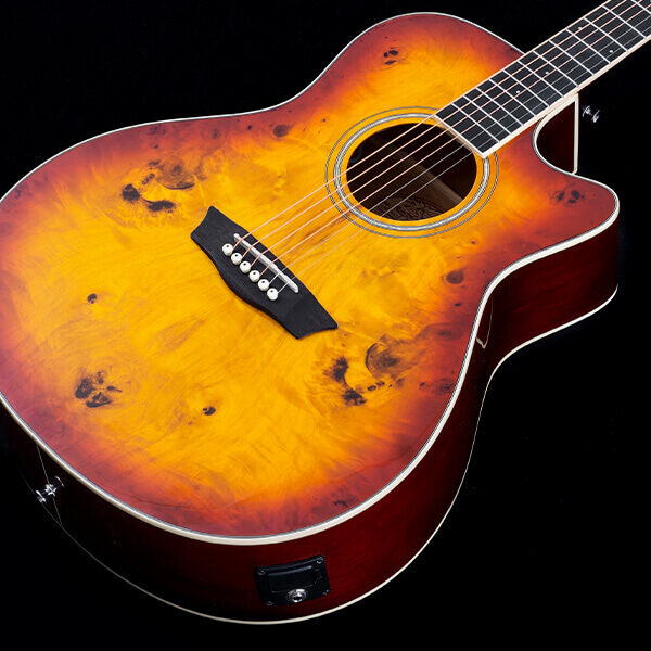 Washburn Burl ACE Acoustic Guitar - view 2