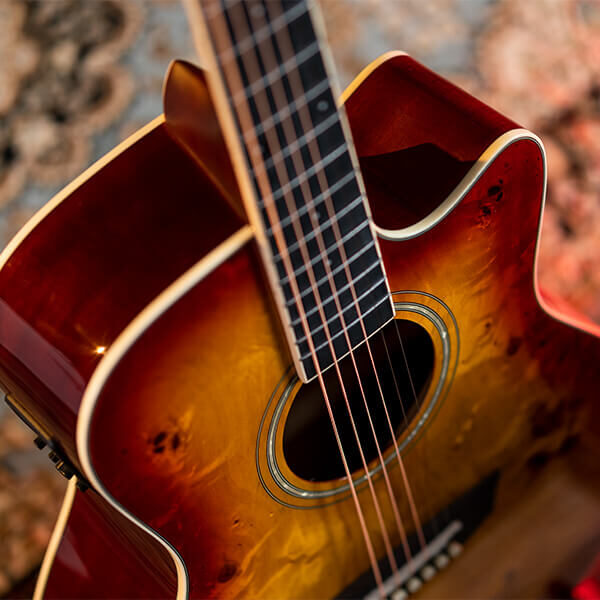 Washburn Burl ACE Acoustic Guitar - view 3