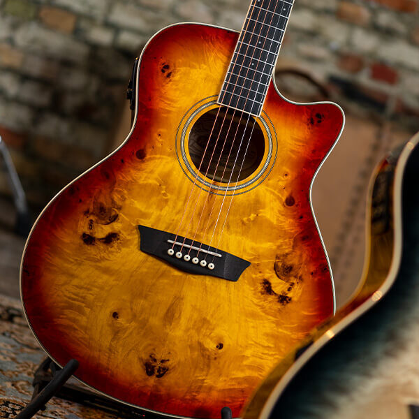 Washburn Burl ACE Acoustic Guitar - view 4