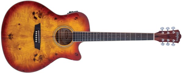 Washburn Burl ACE Acoustic Guitar