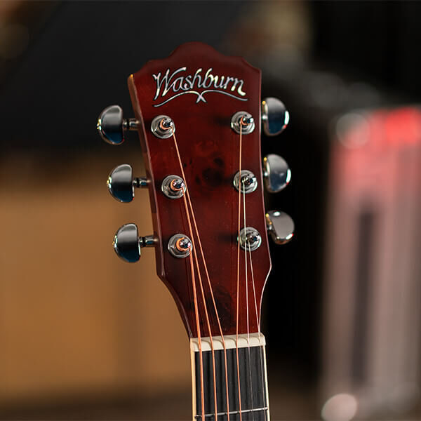 Washburn Burl D Acoustic Guitar - view 2