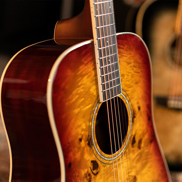 Washburn Burl D Acoustic Guitar - view 4