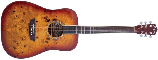 Washburn Burl D Acoustic Guitar product image