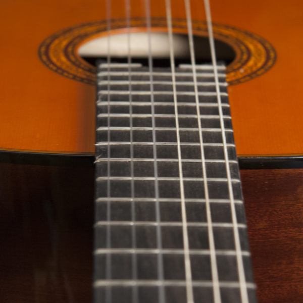 Washburn C5 Classical Guitar - view 2