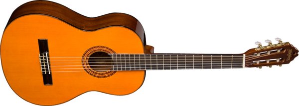 Washburn C5 Classical Guitar product image