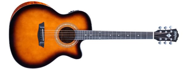 Washburn WCG10CE Acoustic Guitar