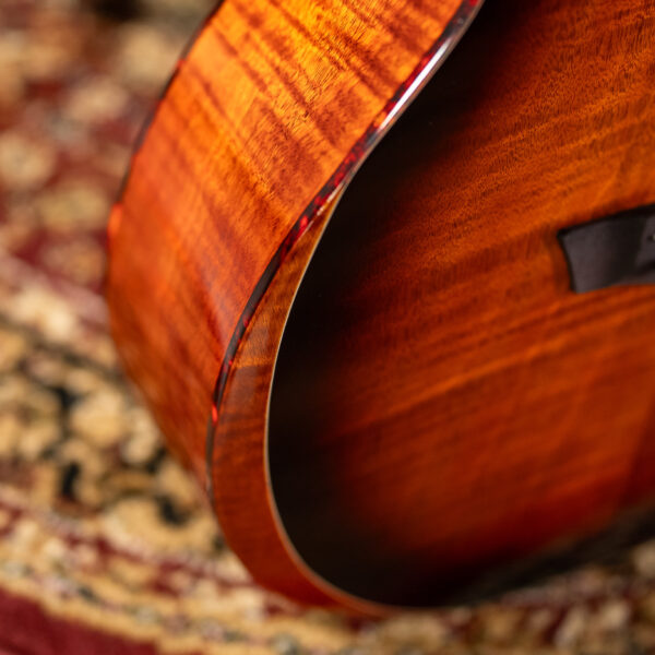 Washburn WCG12FCE Acoustic Guitar - view 2