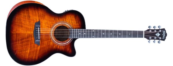 Washburn WCG12FCE Acoustic Guitar