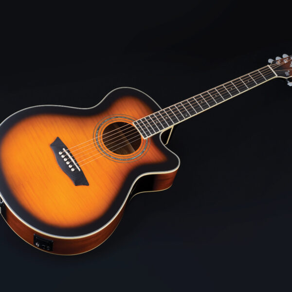 Washburn EA15 EA15TBL Acoustic Guitar - view 2