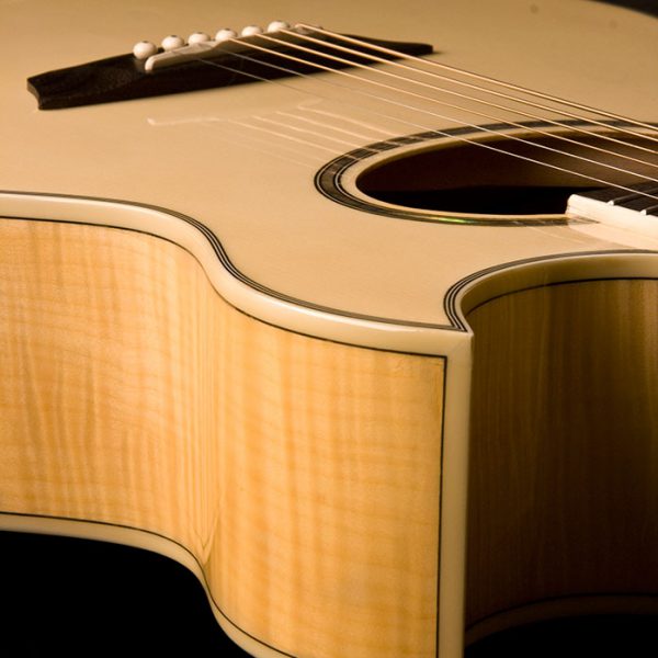 Washburn EA20 Bass Guitar - view 2