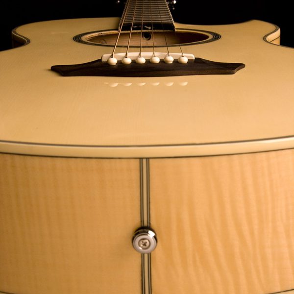 Washburn EA20 Bass Guitar - view 4