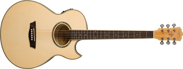 Washburn EA20 Bass Guitar