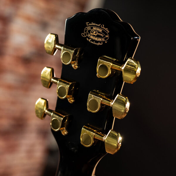 Washburn EA55G Acoustic Guitar - view 2