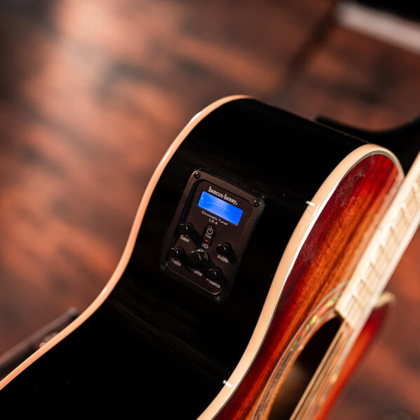 Washburn EA55G Acoustic Guitar - view 3
